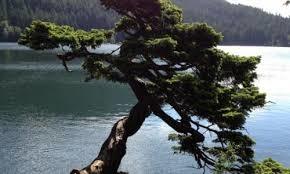 Cascade Lake