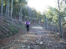 Monte Mazzocone