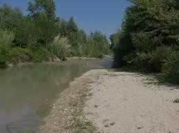 Musone