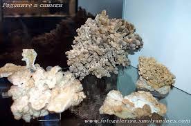 Museum of the Rhodope Karst