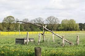 Büngernsche und Dingdener Heide