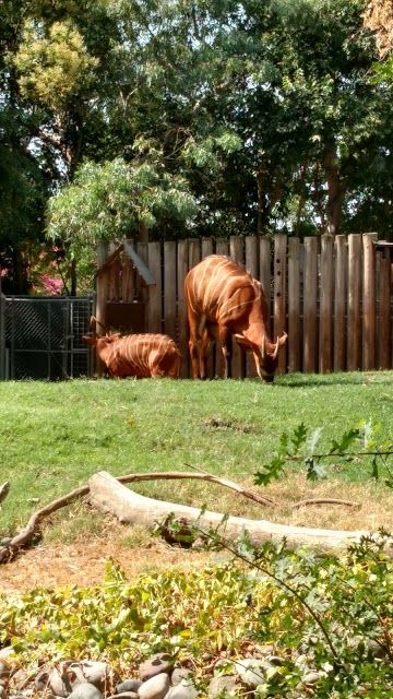 William Land Regional Park