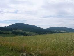 Rosochatka