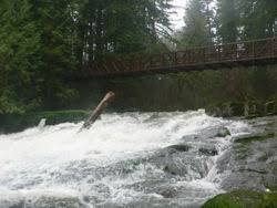 Lacamas Creek