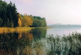 Hołny