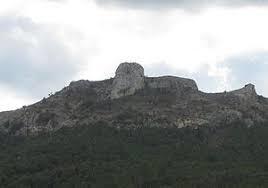 Picorandan