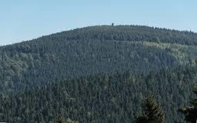 Czernica