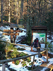 Rezerwat przyrody Nowa Morawa