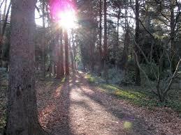 Sopron Botanical Garden