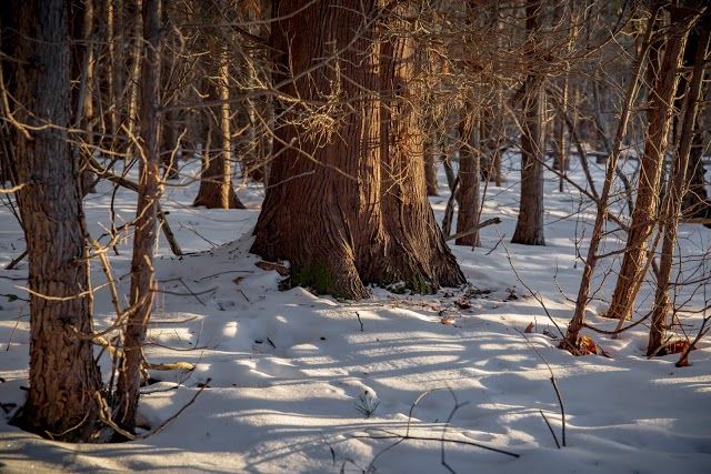 Crossroads At Big Creek