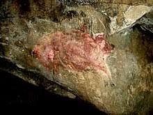 Cueva del Reguerillo