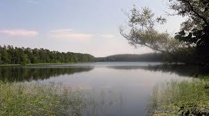 Dreetzsee