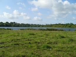 Frankfield Loch