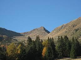Großer Kornigl