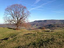 Ruine Limburg