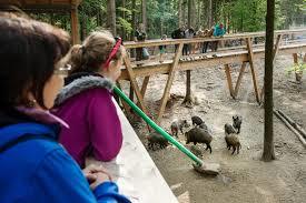 Wildpark Waldhaus Mehlmeisel