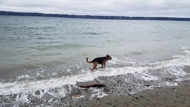 Kayak Point