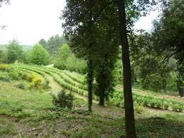 Les Jardins de Mazet