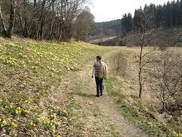 Perlenbach