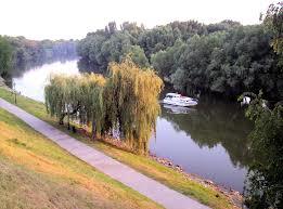 Sugovica