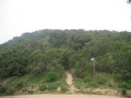 Turo de Castellruf