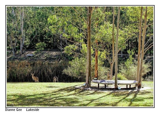 Eurobodalla Regional Botanic Gardens