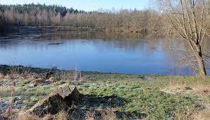 Stellbergsee