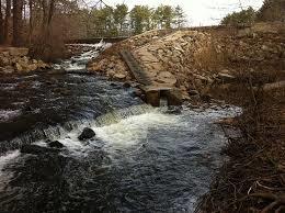 Branford Supply Ponds