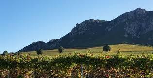 SARL Clos d'Alzeto