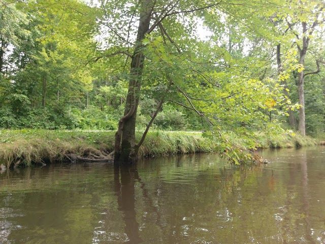 Friends Of The White Pine Trail