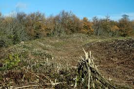 Llanmelin Hill Fort