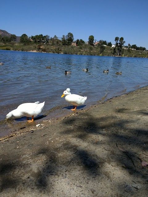 Mission Trails Regional Park Lake Murray