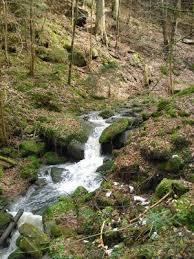 Wolfsschlucht