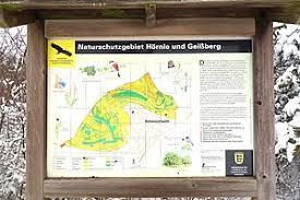 Hörnle und Geißberg