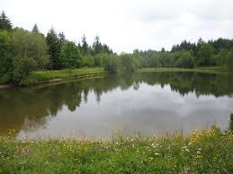 Bömbachsee