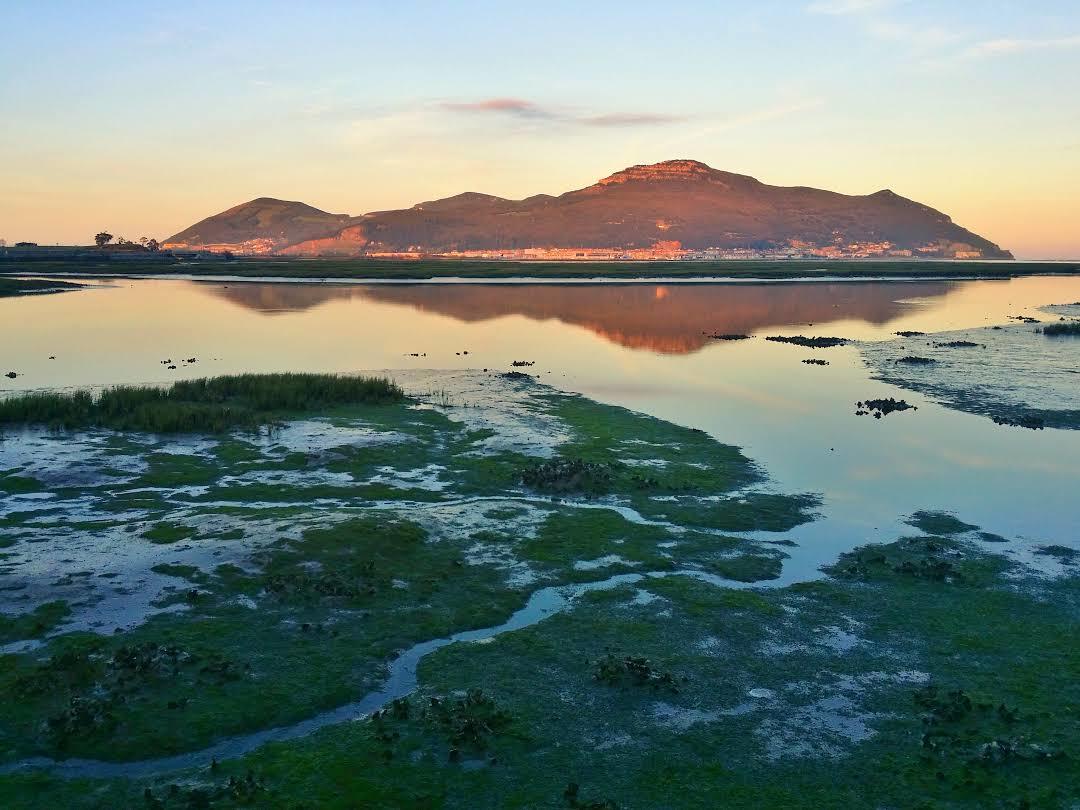 Parque natural de las Marismas de Santoña