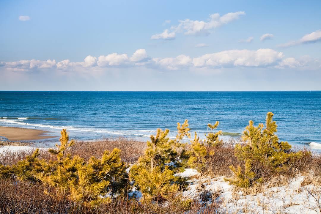 Nauset Beach