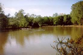 Riserva naturale Montefalcone