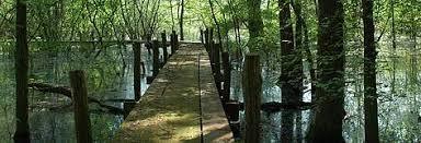 Oasi WWF Bosco del Bottaccio