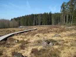 Moorpfad