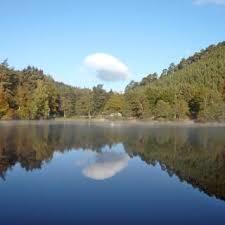 Seehof-Weiher