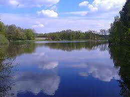 Kunstteich Neudorf