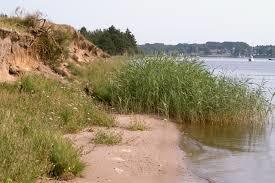 Reesholm / Schlei