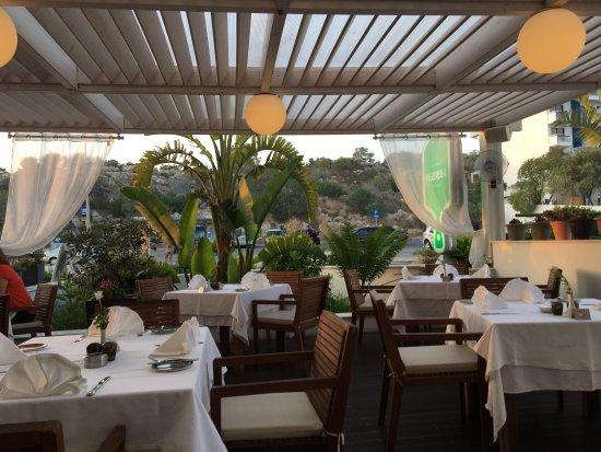 pisanello italian restaurant