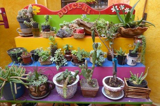 La Tentación del Jardin