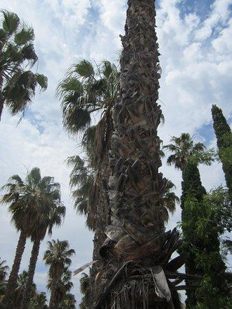 Gelateria Tutto Frutto da Remoaldo