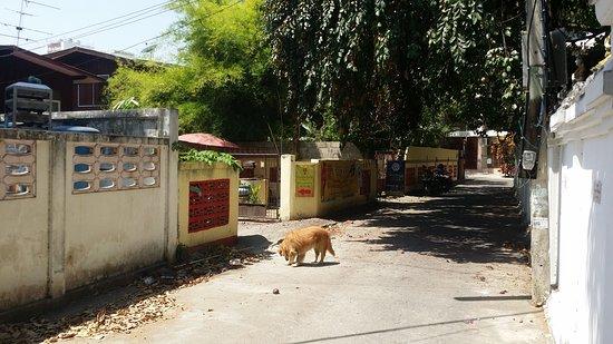 Thai Vegeterian Food Restaurant