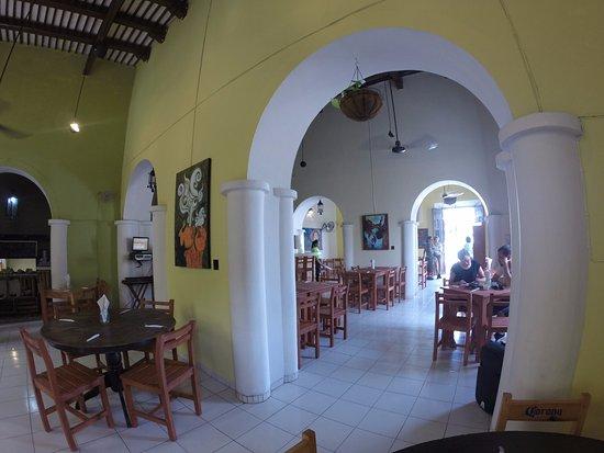 Avocado Vegetariano Centro