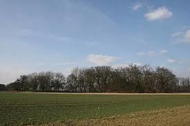 Weilerhügel