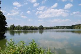 Steinrodsee